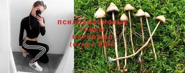 твердый Богородицк