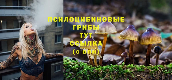 тгк Богородск